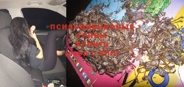 бошки Зеленокумск