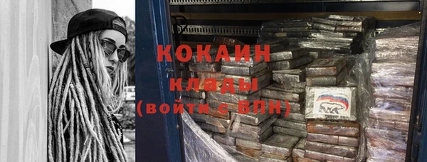 шишки Инсар
