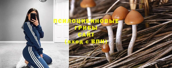 бошки Зеленокумск