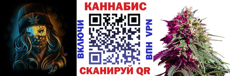 Купить закладки  Горняк  Бошки Шишки SATIVA & INDICA 